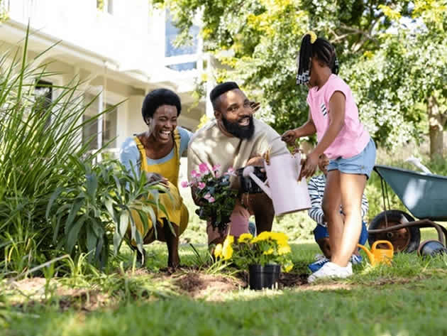 Prexx Bank International